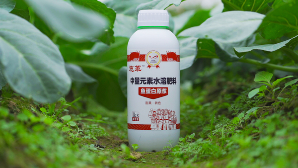 C0118T01.jpg