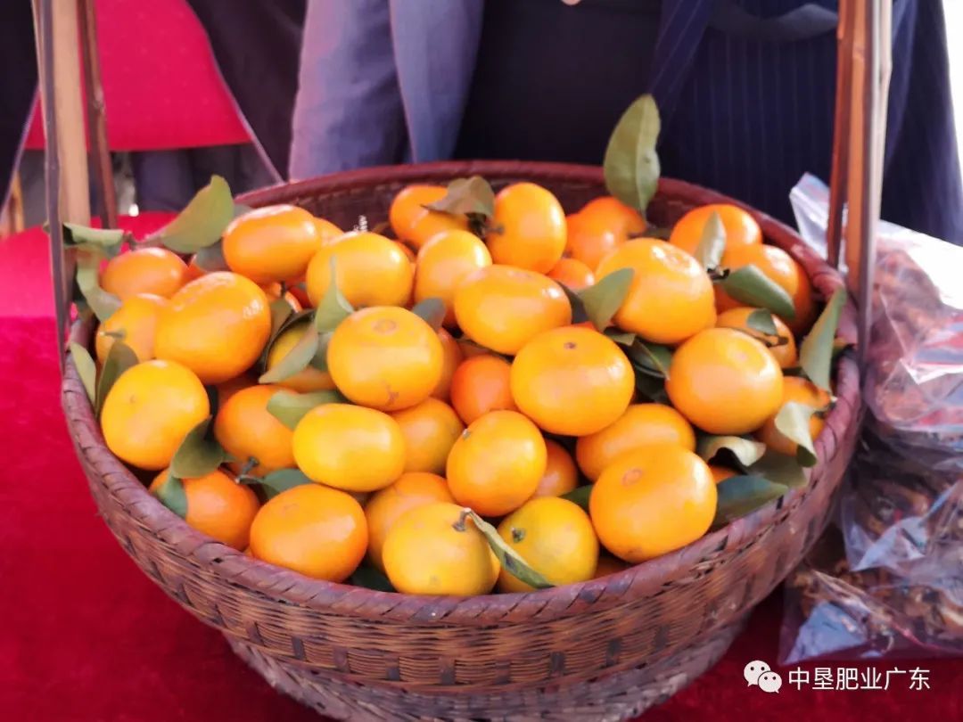 这款微量元素水溶肥 农民种植都在用 专家教你如何施肥多一招